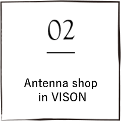 Antenna shop in VISON
