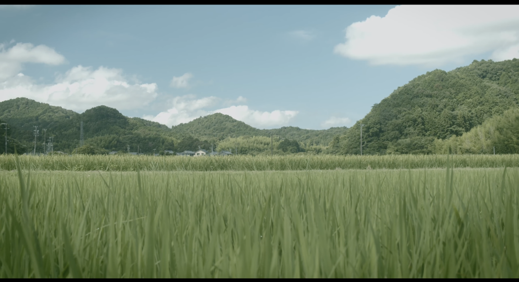 商品価格値上げのお知らせ